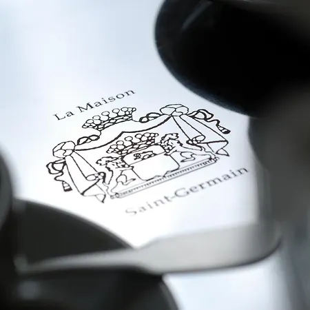 Hôtel La Maison Saint Germain-2